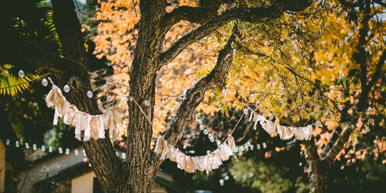 A wedding set in its landscape at the end of the day